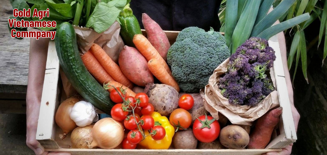 Government Support for Agriculture in Vietnam: A Strategic Advantage for Global Buyers 4 Gold Agri Vietnamese Commpany