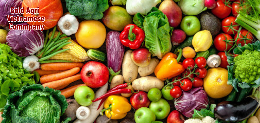 Vietnamese Crop Resilience: Reliable Supply for Global Importers 1 Gold Agri Vietnamese Commpany