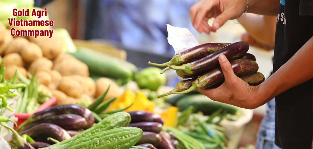 Vietnam: A Leading Player in the International Agriculture Market 1 Gold Agri Vietnamese Commpany 31