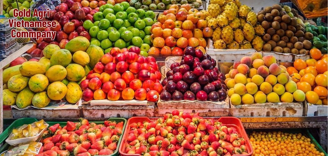 Contact Gold Agri – Vietnam's Leading Agricultural Products Exporter 1 Gold Agri Vietnamese Commpany 5