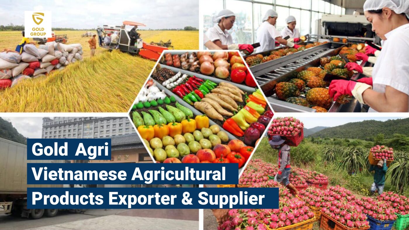 Gold-Agri | Vietnamese Agricultural Products Exporter & Supplier